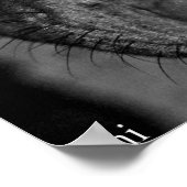 Pit Bull Eyes. Schwarz und Weiß und Farbe Poster (Ecke)