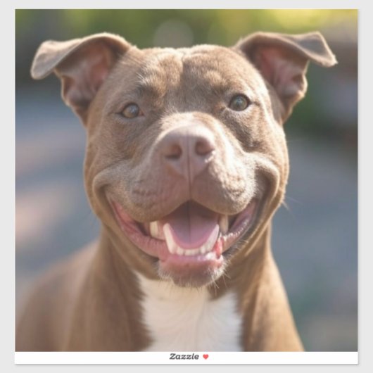 Pit Bull-Foto hinzufügen Anpassen Aufkleber (Blatt)