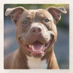 Pit Bull-Foto hinzufügen Anpassen Glasuntersetzer