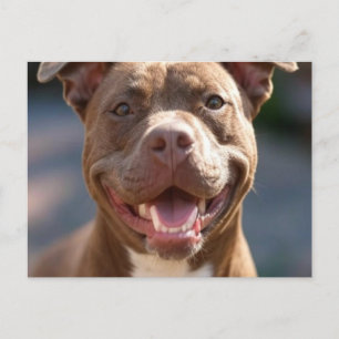 Pit Bull-Foto hinzufügen Anpassen Postkarte