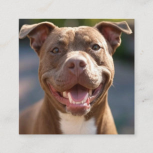 Pit Bull-Foto hinzufügen Anpassen Quadratische Visitenkarte
