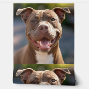 Pit Bull-Foto hinzufügen Anpassen Tapete