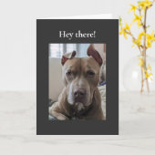 Pit Bull Hallo da Karte (Gelbe Blume)