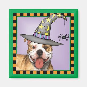 Pit Bull Hexe Magnet