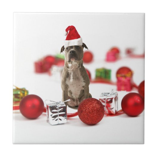 Pit Bull Hund mit Geschenkboxen und Weihnachtsschm Fliese (Vorderseite)
