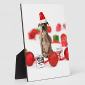 Pit Bull Hund mit Geschenkboxen und Weihnachtsschm Fotoplatte (Seite)