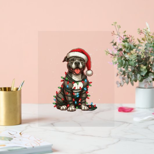 Pit bull Hund Weihnachtslicht Weihnachtsmannmütze Acrylschild (Hochzeit)