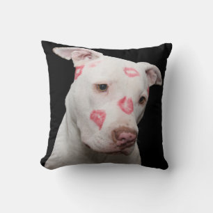 Pit bull kissen