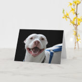 Pit bull lächelnde Karte (Gelbe Blume)