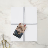 Pit Bull Liebesdecke Geschenkanhänger (Mit Garn)