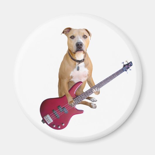 Pit Bull mit Gitarre Magnet (Vorne)