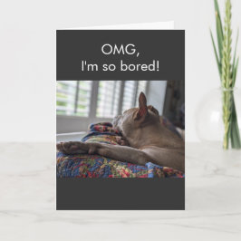 Pit Bull OMG ich bin so gelangweilt Karte