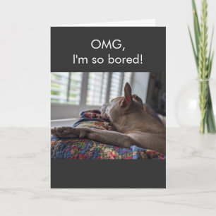 Pit Bull OMG ich bin so gelangweilt Karte