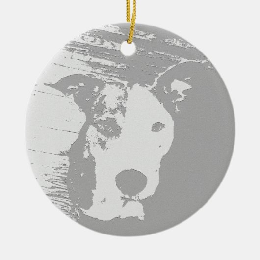 PIT BULL ORNAMENT PITTY (Vorne)