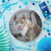Pit Bull Pappteller (Party)