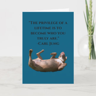 Pit Bull Philosophie Karte