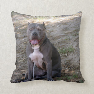 Pit Bull Pillow Kissen