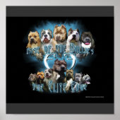 Pit Bull-Plakat Poster (Vorne)