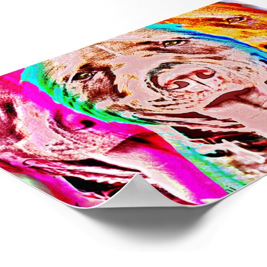 Pit Bull Pop Poster (Ecke)