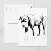 Pit Bull Post, Schneetag Hallo Postkarte (Vorne/Hinten)