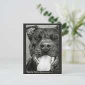 Pit Bull Postcard - "Happy Typ" Postkarte (Stehend Vorderseite)