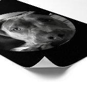 Pit bull poster (Ecke)
