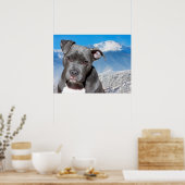Pit Bull Poster (Küche)