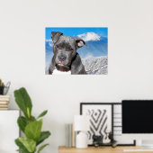 Pit Bull Poster (Heimbüro)