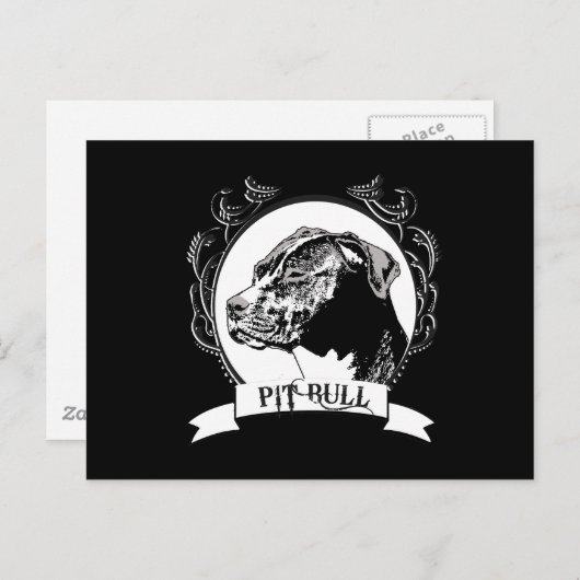 PIT BULL POSTKARTE (Vorne/Hinten)