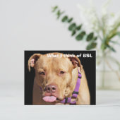 Pit Bull Postkarte (Stehend Vorderseite)