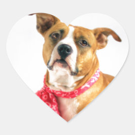 Pit Bull Puppy-Liebe in rosa XOXO Herz-Aufkleber