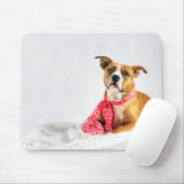 Pit Bull Puppy-Liebe in rosa XOXO Mousepad (Mit Mouse)