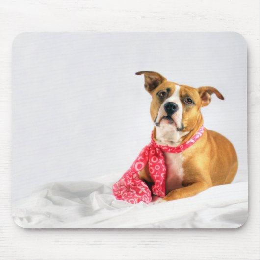Pit Bull Puppy-Liebe in rosa XOXO Mousepad (Vorne)