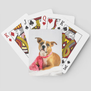 Pit Bull Puppy-Liebe in rosa XOXO Spielkarten