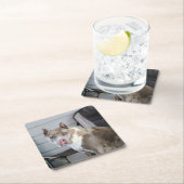 Pit Bull Rechteckiger Pappuntersetzer (Vor Ort)