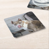 Pit Bull Rechteckiger Pappuntersetzer (angewinkelt)