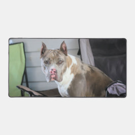 Pit Bull Schreibtischunterlage