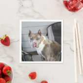 Pit Bull Serviette (Beispiel)