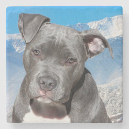 Pit Bull Steinuntersetzer