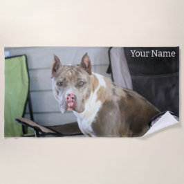 Pit Bull Strandtuch