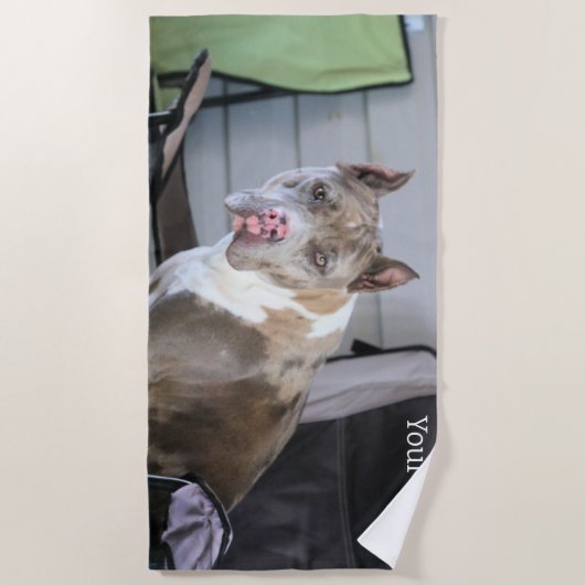 Pit Bull Strandtuch (Vorderseite)