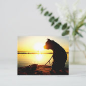 Pit Bull Sunrise Postkarte (Stehend Vorderseite)