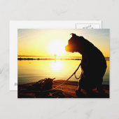 Pit Bull Sunrise Postkarte (Vorne/Hinten)