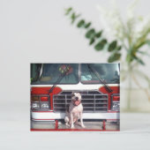 Pit Bull T-Bone Feuerhund Hund Postkarte (Stehend Vorderseite)