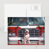 Pit Bull T-Bone Feuerhund Hund Postkarte (Vorne/Hinten)
