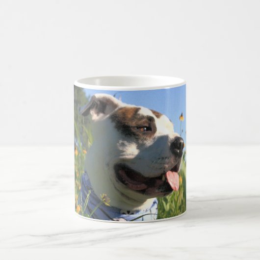 Pit Bull T-Bone-Frühjahr Kaffeetasse (Mittel)