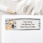 Pit Bull Tan Dog (Insitu)