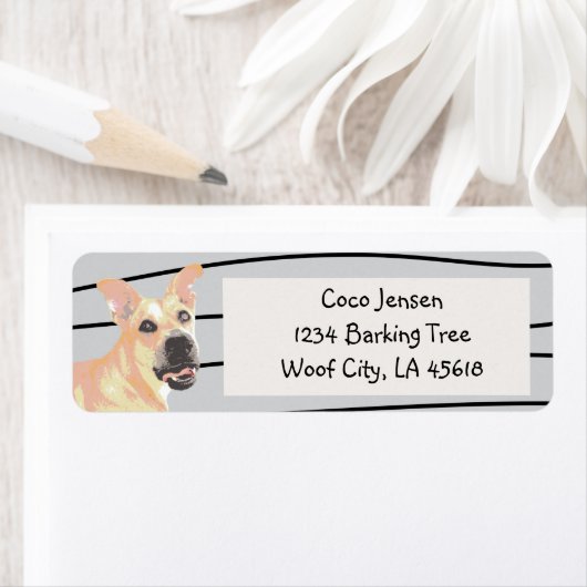 Pit Bull Tan Dog (Insitu)