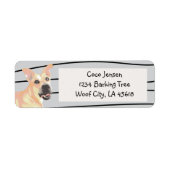 Pit Bull Tan Dog (Vorne)