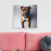 Pit Bull Terrier belagern Leinwanddruck (Insitu (Wohnzimmer))
